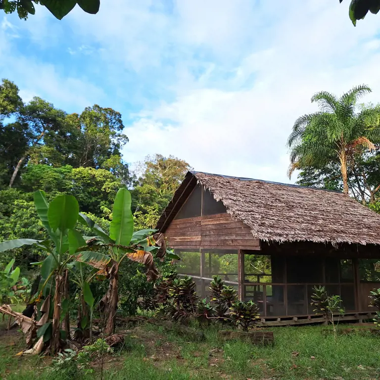 Habitat Sur Amazonas